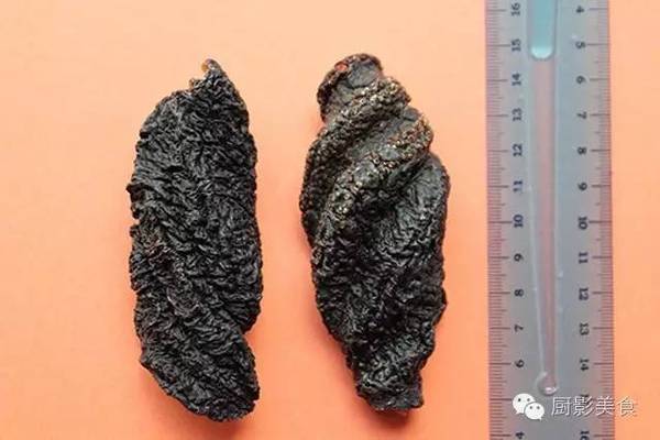 加拿大北极奶油(斗牛)发泡海参英国图片