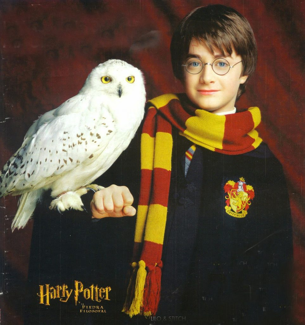 harry potter and the philosopher"s stone: hedwig"s theme best