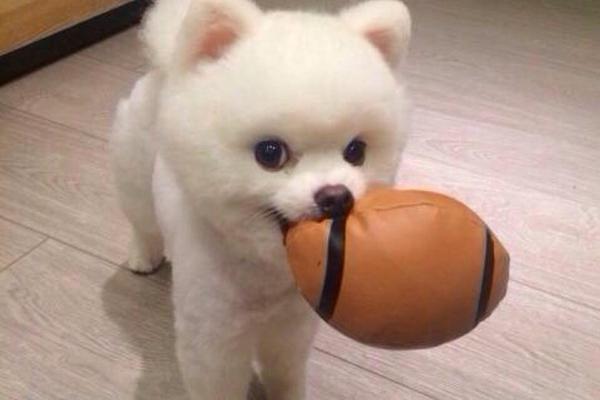 「铺床」英文怎么说?