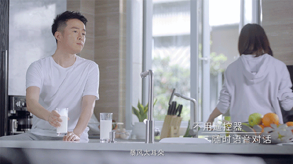 配备了4路阵列麦克风,8颗人工智能芯片及1080p全高清摄像头.