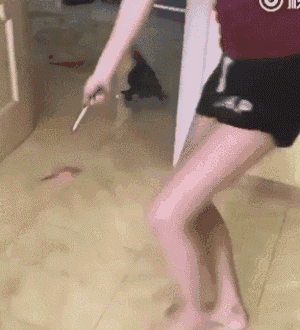 搞笑gif囧图丨就这智商别充电了,充满了你也不会用