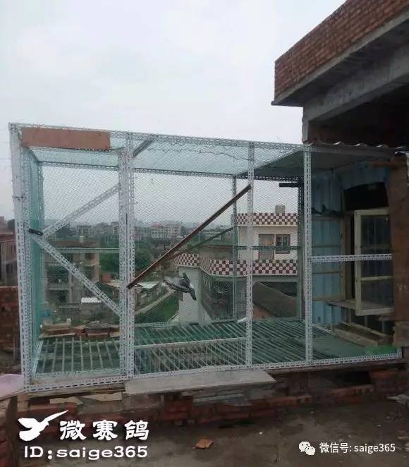 【图集】自己动手建的小鸽舍,价值不超过500块!