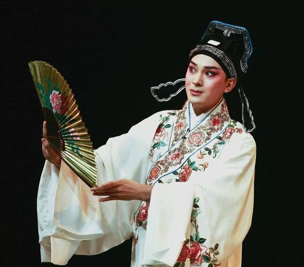 戏曲都有哪些戏种,戏曲都有哪些戏种?