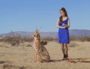 370_283 gif 动态图 动图