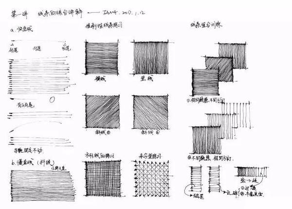 手绘基础线条练习