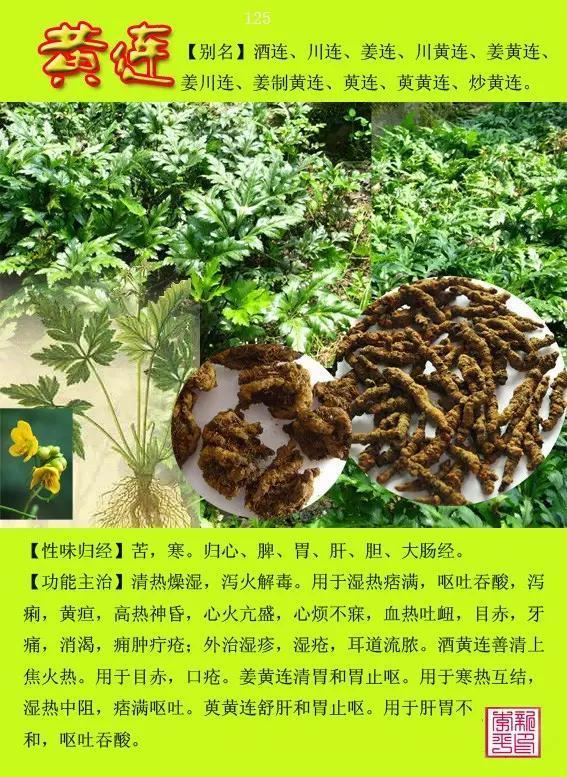 头条|微信上最全常用300种中草药图谱汇总,值得转发!