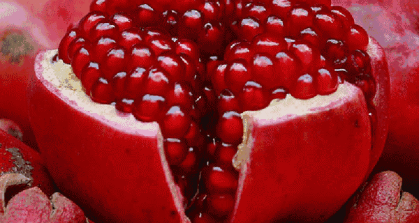 明天就是520了 不如带上ta,沉浸在甜蜜的花果世界 也不硌呀