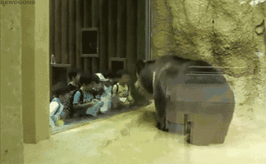 你小时候真欠揍-笑话频道-手机搜狐