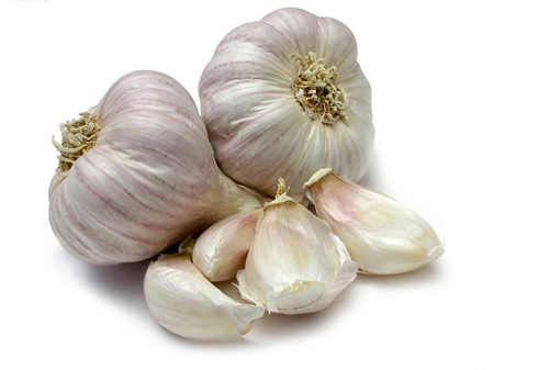 如何种植大蒜头 a5cjmv5350771244064.jpg