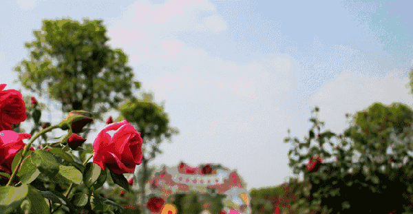 路线:地铁s8泰冯路上车→雄州3口下车→632路棠城广场西上车→竹镇东