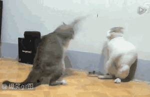 妹子们赶紧收藏了吧 还可长按图片直接发送给男朋友 ps:男士们,你们