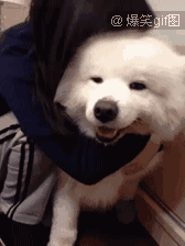 点右上角转给需要解压的ta吧 别忘了 点赞             笑视频,关注