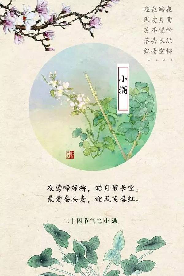 小满是夏季的第二个节气,《月令七十二候集解》:"四月中,小满者,物致