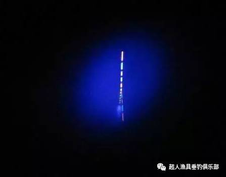 黑坑夜钓,实战宝典,祝您成功上岸!