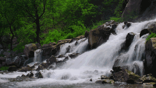 曝光!诸暨这家颜好味美的农家乐,一口足以念念不忘