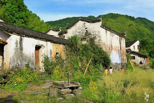 白石岭,苍松古树掩映下的古村落