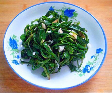 小满吃苦菜,妈妈再也不用当心我感冒了!