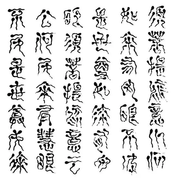 衣仙什么成语(3)