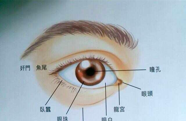 面相教学:眼睛面相定一生富贵贫贱