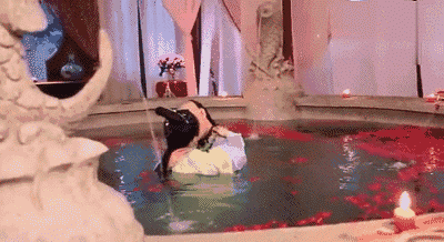 400_218gif 动态图 动图