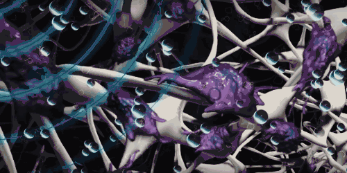 gazit团队在通过手术将bmp-6基因插入到所构建的1厘米缝隙的腿骨缺损