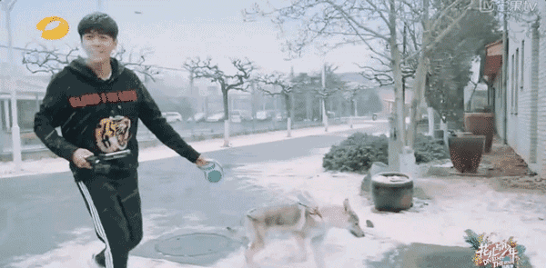 整部《花儿与少年3》其实就是ysl和gucci开趴体