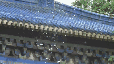 番禺五月惊现