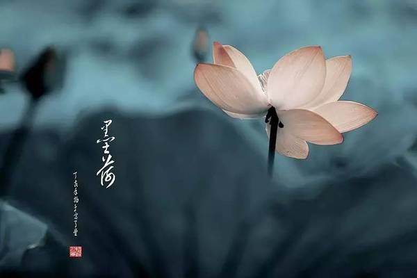 萨克斯《一生何求》,深情而唯美.