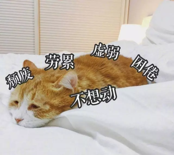 可怕,你们知道年轻人"混吃等死"有什么后果吗?