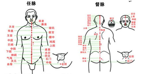 本经共有28个穴位,主治神志病,热病,腰, 任脉:起于下腹内,下出会阴部