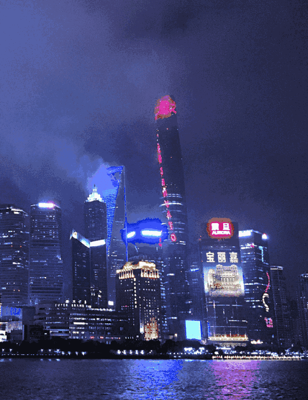 壁纸 夜景 600_778 竖版 竖屏 手机 gif 动态图 动图