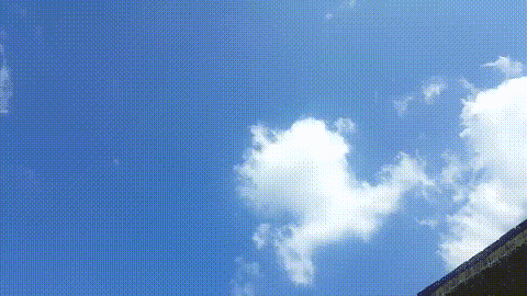 昨天下了一场雨 今天郑州的天空呈现出了不同层次的蓝色 翻朵白云更是