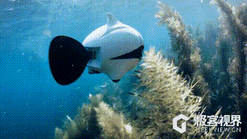 同时两边内置了 114 流明的 led 灯,在昏暗的水下也能拍的清楚.