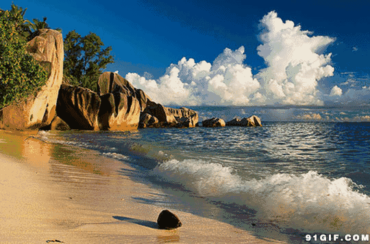 电脑上wap网:夏季沙滩波浪滚滚,女人袒胸露臂花样翻