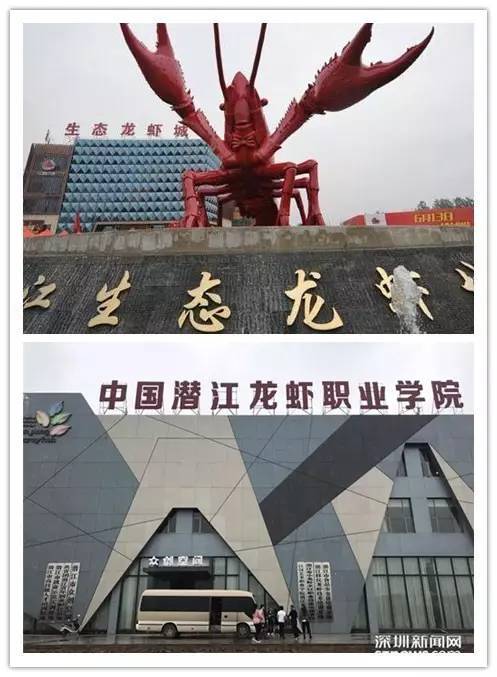 王:全球最大小龙虾雕塑亮相湖北潜江,已申报世界纪录