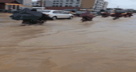 喵主子的表情说明了一切~ 相信经过今次的暴雨 不少车主已经哭晕在