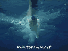 240_180gif 动态图 动图