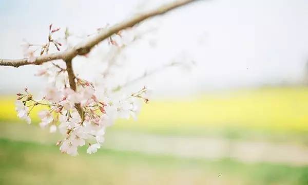 谁好谁坏,时间长了就会明白!