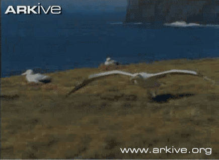 纳尼?孵蛋要孵三个月?