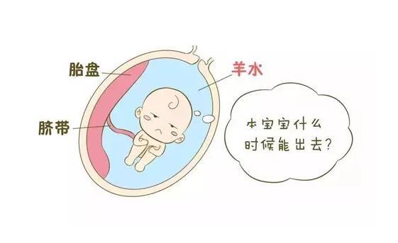 如果说区分羊水和尿液的话,那么主要的区别就是出来的地方是不一样的