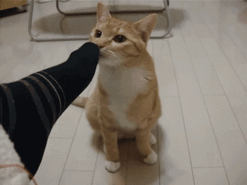 脚上老脱皮?这篇教你不再做「抠脚汉」