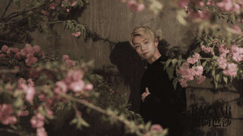 尬聊技能满点,学霸傻狍子双属性,逆势择天的鹿晗仍是那个此间少年