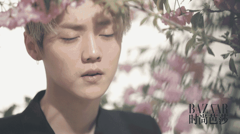 尬聊技能满点,学霸傻狍子双属性,逆势择天的鹿晗仍是那个此间少年