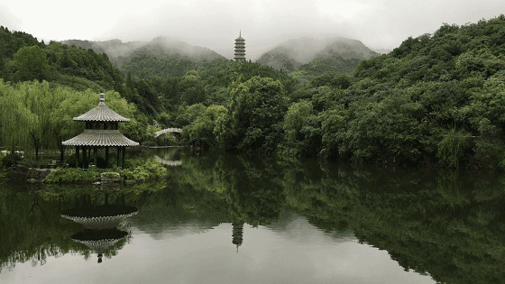 在这里回归自然放飞心情,游青山绿毯,乘激光战舰,做拓展训练,打真人