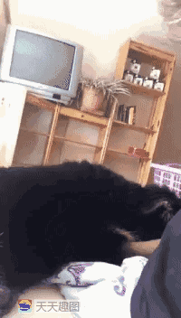 【开心一刻】老婆是个大吃货,有次,我俩吵架,吵得很凶,事后,我想想