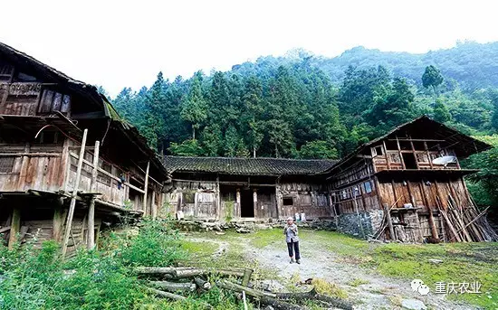你不可错过的重庆74个中国传统村落 快来看看吧