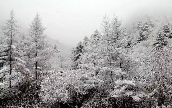 成语什么雪皑皑_有关雪的成语大全(2)