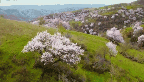 央视动用16架飞机,航拍新疆美哭所有人!-旅游频道-手机搜狐