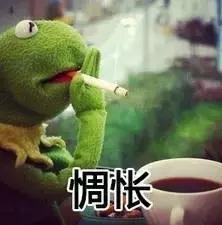 poinko兄弟版图片搞笑的软件表情图片