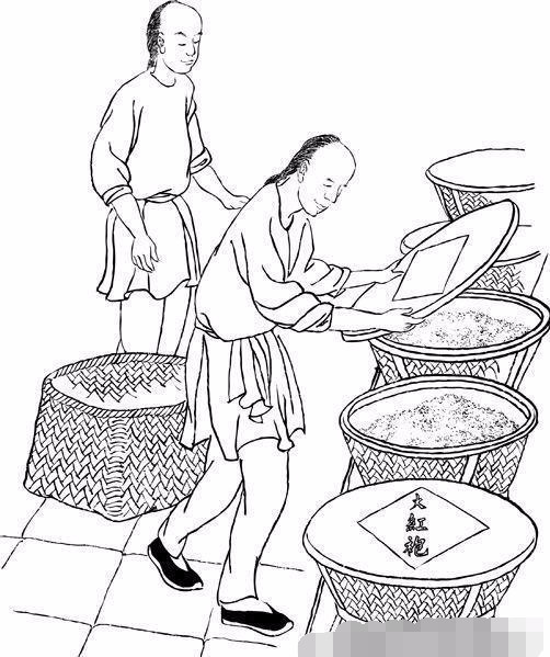 12张图片让你秒懂武夷岩茶制作过程,你get了吗?
